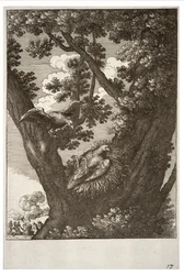 Der kranke Drachen und seine Mutter